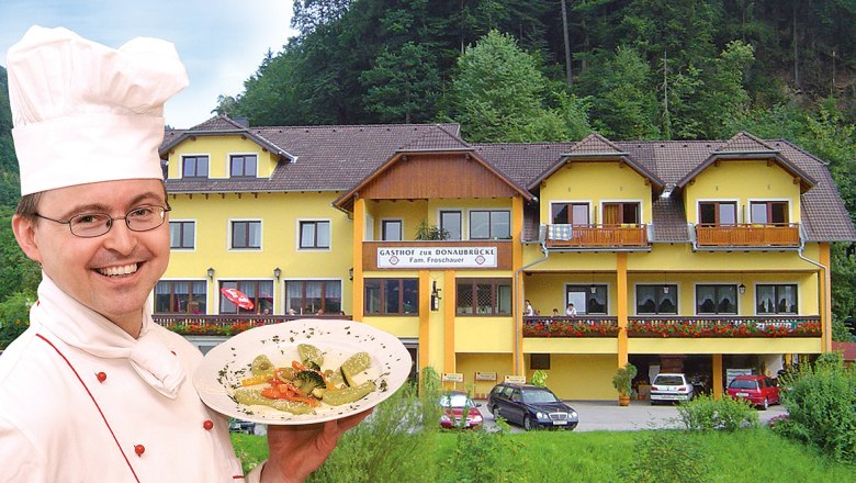 Zur Donaubruecke, © Helmut Froschauer Zur Donaubruecke, © Helmut Froschauer