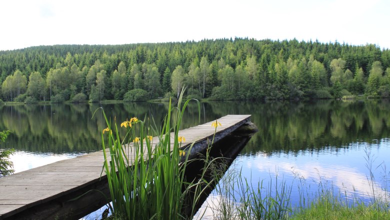 Schlesinger pond, © Tourismusverein Bärnkopf