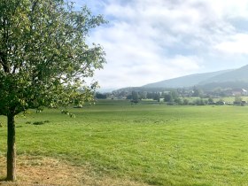 Weide in Oberbergern, &copy; Radler-Rast