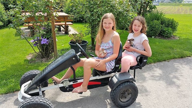 Go-kart, &copy; Lothspieler