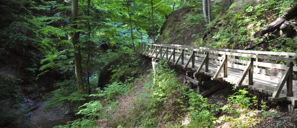 Hagenbachklamm, © Naturparke Niederösterreich/Robert Herbst