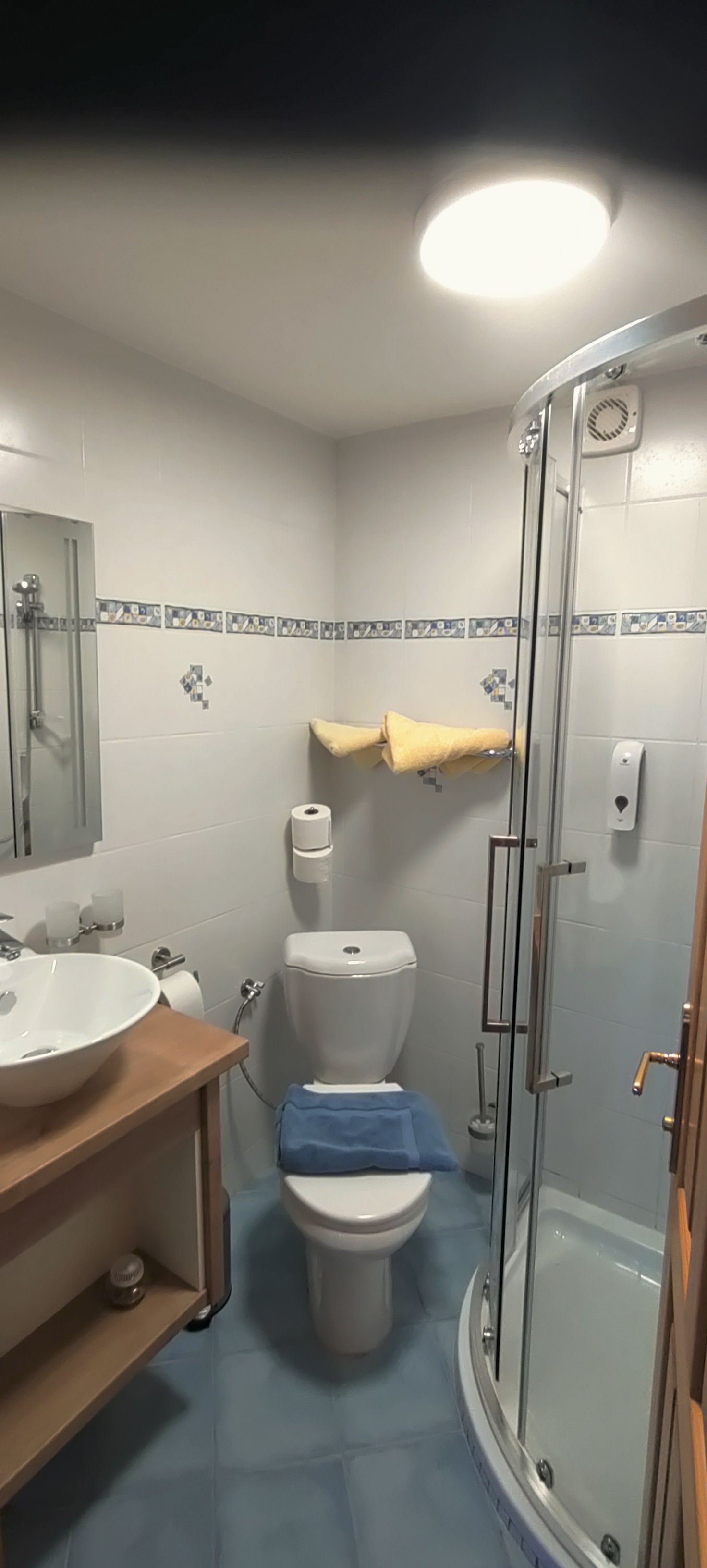 Malá koupelna se sprchou, WC a umyvadlem.