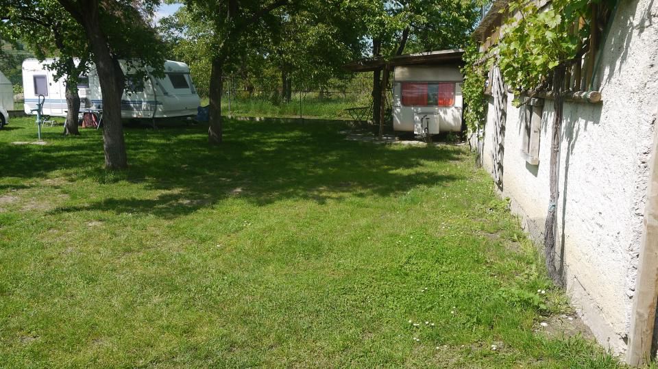 Kemp s karavany pod stromy, vedle budovy s vinnou révou.