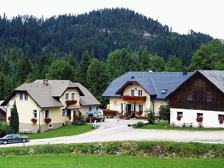 Tři domy ve venkovském prostředí s lesem v pozadí.