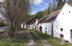 Malebn&aacute; sklepn&iacute; ulička se star&yacute;mi vinn&yacute;mi sklepy a stromy za slunečn&eacute;ho dne.