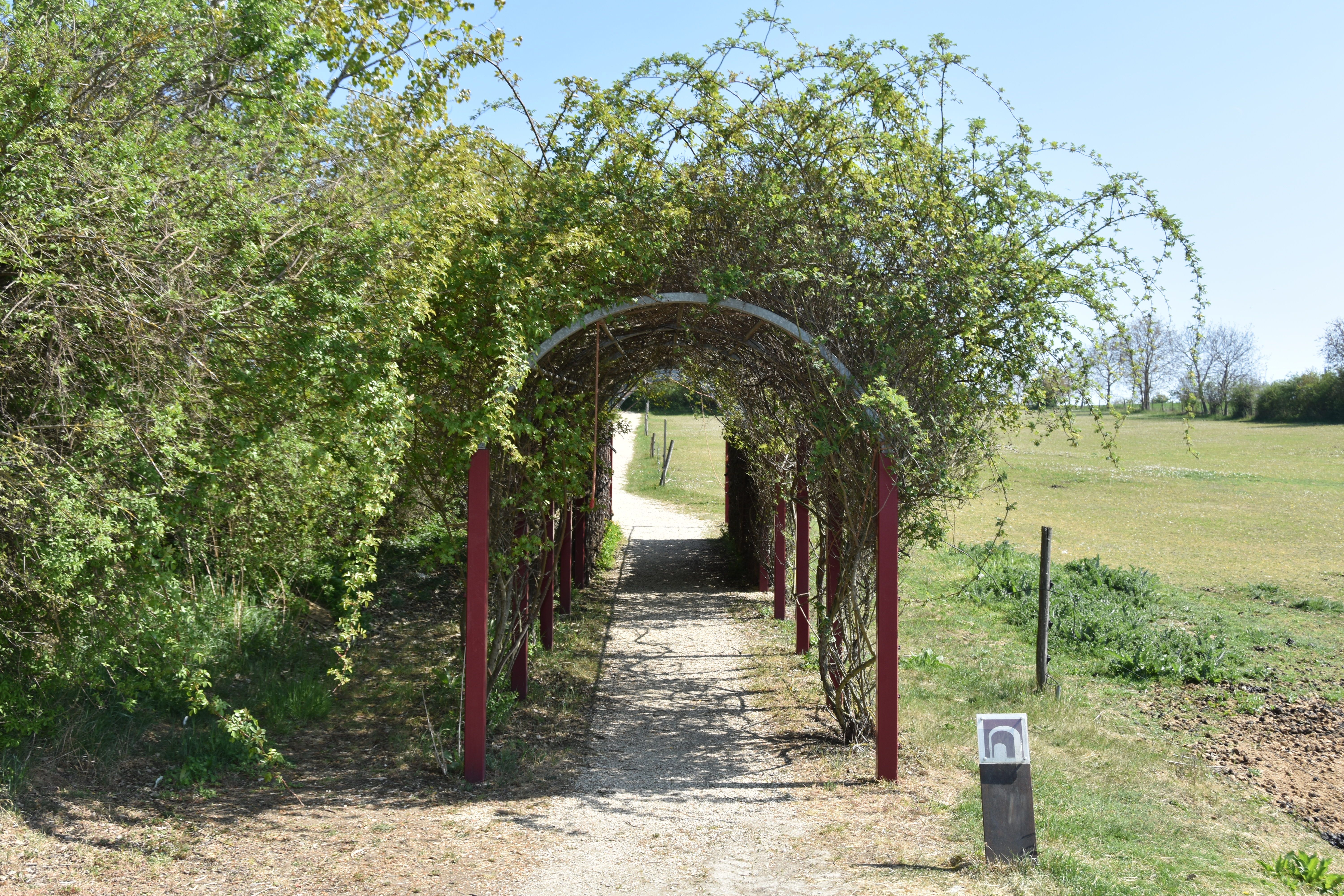 Pergola zarostlá rostlinami na pěšině ve venkovském prostředí.