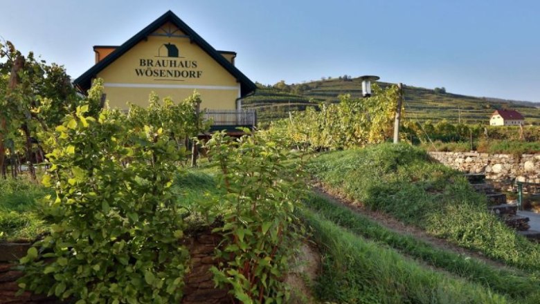 Brewery in Wösendorf, © Familie Friesenbichler