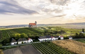 Sklepní ulička Wartberg, © Weinviertel Tourismus/Robert Herbst