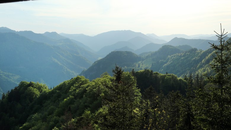 View from the Hochb&auml;rneck viewing platform, &copy; weinfranz.at