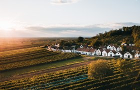 Nejdelší sklepní ulička ve Weinviertelu, Maulavern., © Romeo Felsenreich