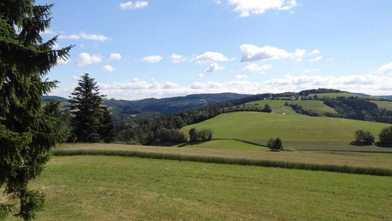 Ausblick von der Dreiländereck Aussichtswarte am Walderlebnisweg, © Marktgemeinde Hochneukirchen-Gschaidt