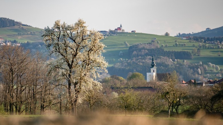 View of St. Peter and St. Michael, © Uschi Wolf