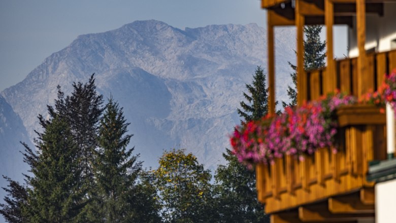 _E6A2508, &copy; Theo Kust