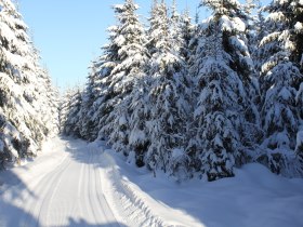 Zilleck-Loipe 3, &copy; Waldviertel Tourismus