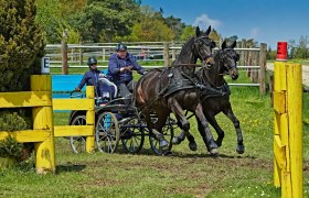 Karlstetten Driving and Riding Club, © Gerty Schabas
