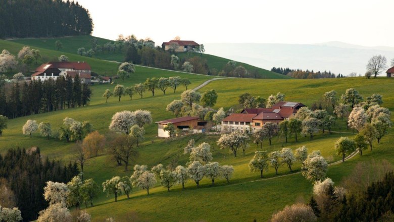 Photo point St. Peter in der Au, © schwarz-koenig.at