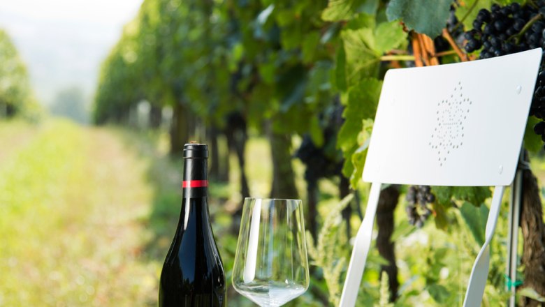 Glatzer vineyard, Göttlesbrunn, © Weingut Glatzer