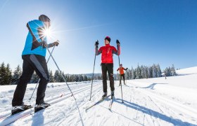 Langlaufen in den Wiener Alpen, &copy; Wiener Alpen in Nieder&ouml;sterreich