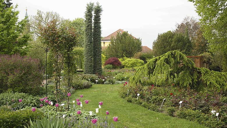 Starkl nursery, © Gärtnerei Starkl