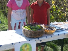 Naturpfad Hohenruppersdorf, &copy; E. Lackner