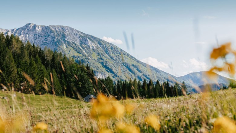 Nestelberg 17 (c)Marlene Schindlegger (39), &copy; Sabine Wieser