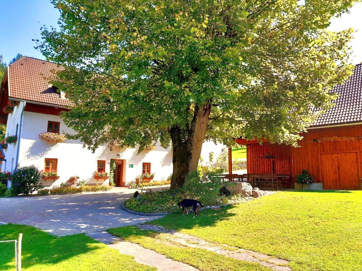 Dovolená na farmě-Oberrehau