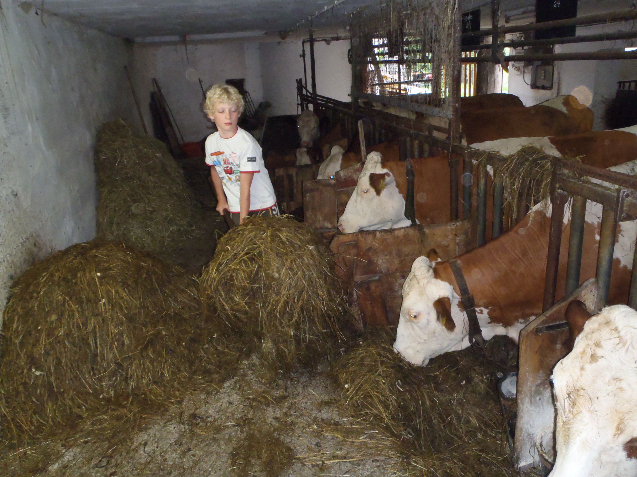 Farma Waira