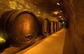 LOISIUM WineWorld & Vinotheque, © LOISIUM, Fotograf: Robert Herbst