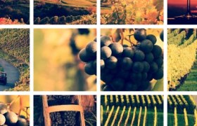 Winery Leo Strahammer, © Fam. Strahammer