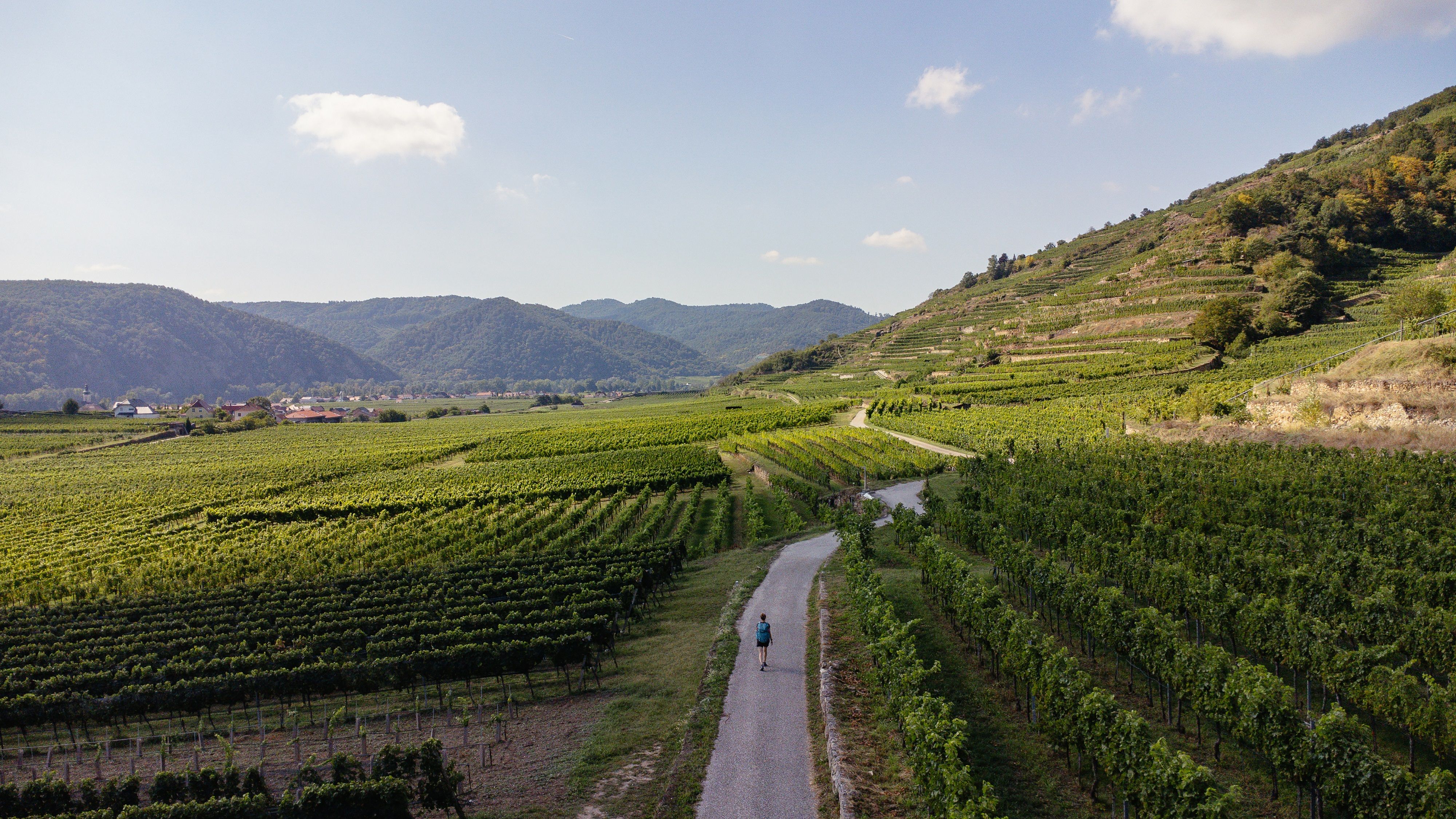 WNK_Welterbesteig_Wachau_(c)© Niederösterreich Werbung_ Franziska Consolati01 kleiner