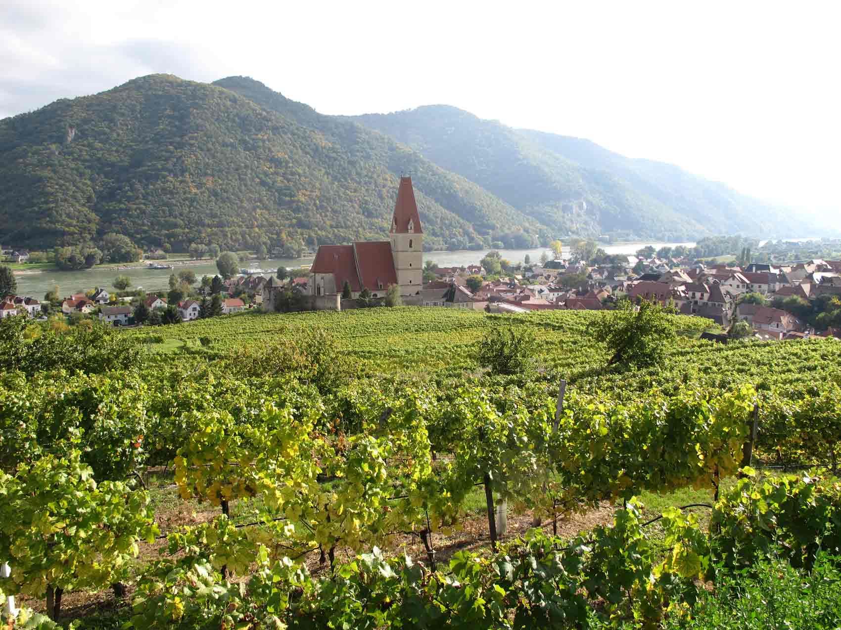 Pohled na Weißenkirchen in der Wachau s vinicemi a kostelem v popředí.