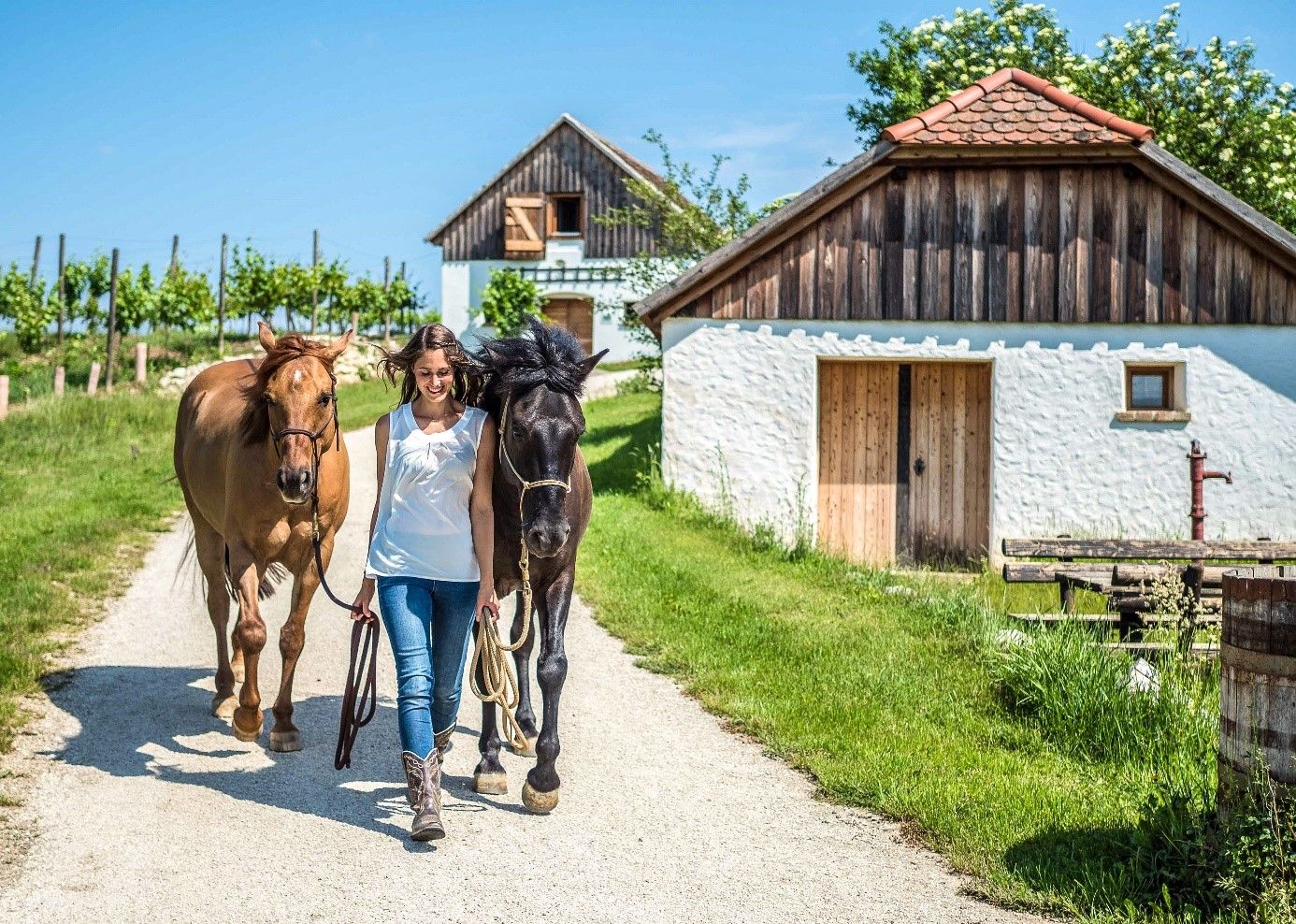 Žena vede dva koně po venkovské cestě obklopené zelenými loukami a tradičními stavbami.