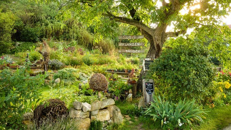 Susi's plant exchange, © Susanne Mitas