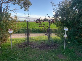 Kostbare Jubil&auml;umsrunde Herzogenburg, &copy; Elisabeth Herzog-Fitzke