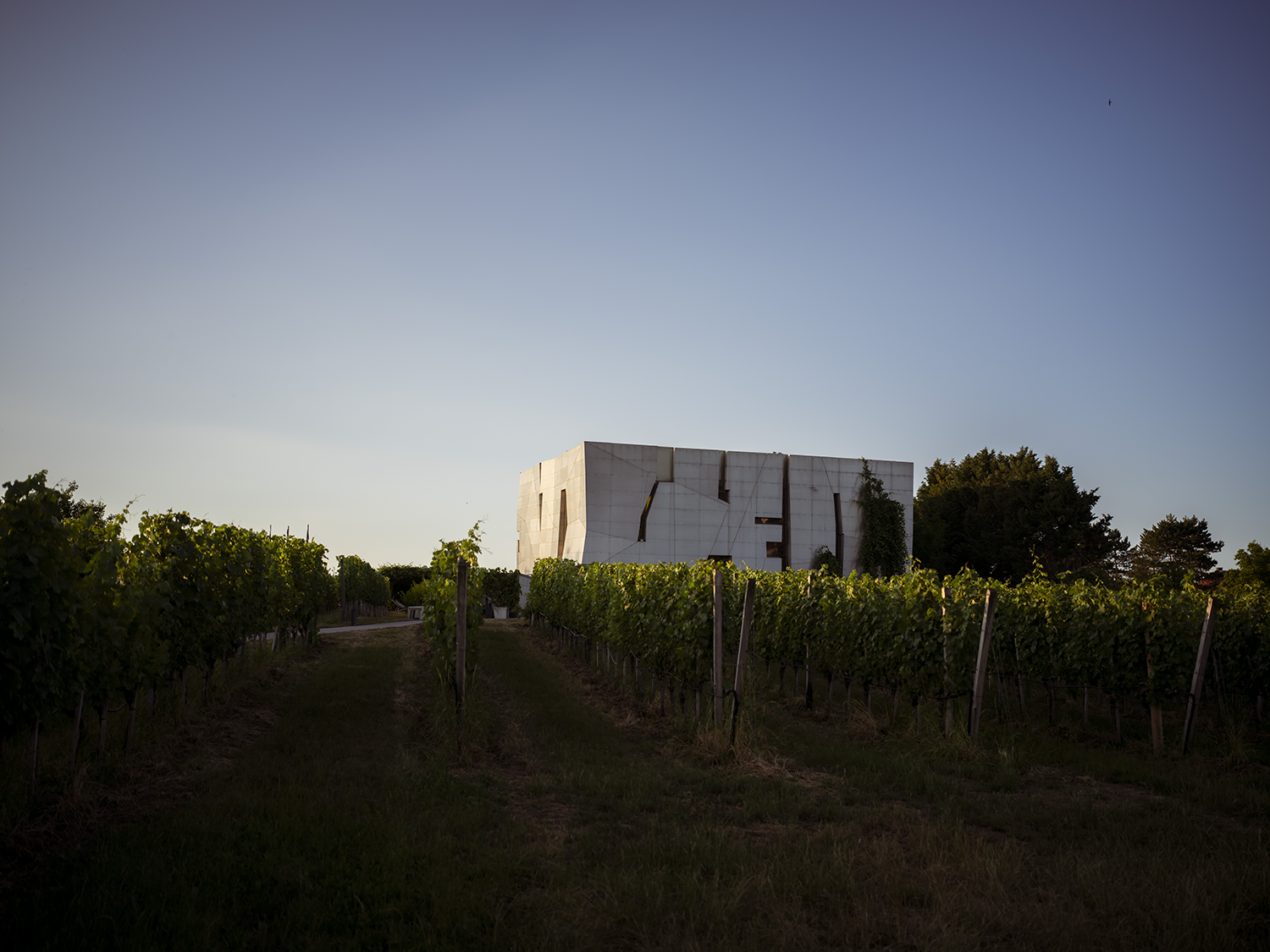 WEinwelt_quer_c_Robert_herbst