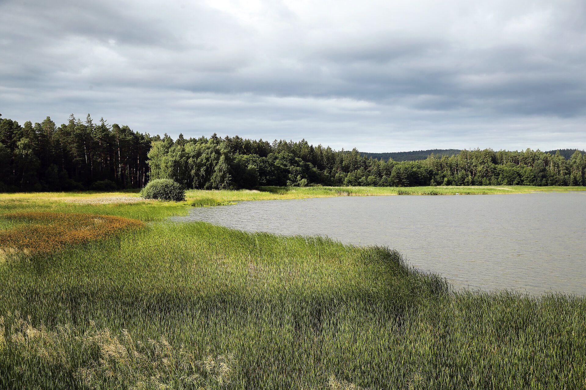 Rybník Edlesberg, obklopený bujnou zelení a kopci, vyzařuje klidnou atmosféru. Jemné vlnky vody odrážejí mraky a okolní přírodu, zatímco ticho přerušuje cvrlikání ptáků. Ideální místo pro milovníky přírody a ty, kteří hledají relaxaci.