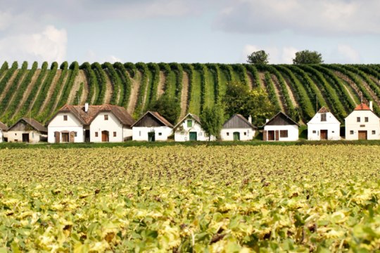 jednoduché a prosté z nepálené hlíny nebo cihel, relikt z 18. století. Sklepní ulička Diepolz., © Weinviertel Tourismus/Wurnig