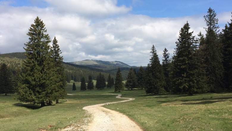 Wanderweg, © Barbara Stroebl
