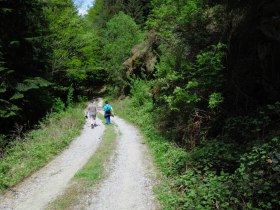 Sjezd k H&ouml;llbachu, &copy; Gottfried Grossinger