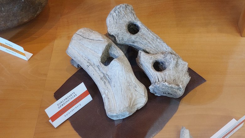 Tools made from antlers from the Kahlenberger in the M&ouml;dling Museum, &copy; Jakob Mauerer