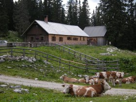 Hochkar - Ringkogel - Schwarzalm - Hochreit, &copy; Mostviertel