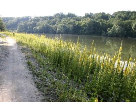 Wanderweg 421, © Mostviertel