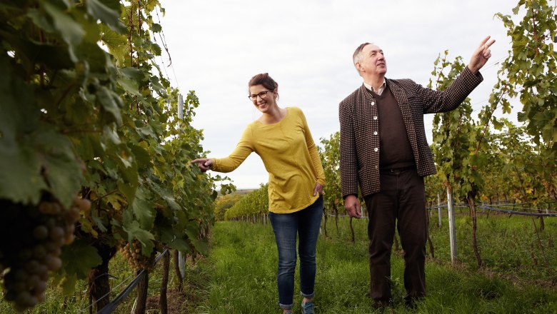 In the vineyard, © Katharina F-Roßboth