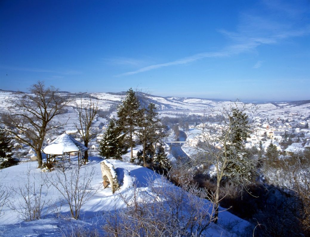 Zřícenina Schonenburg - Schlossbergweg 