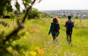 Pohled na Stratzing, &copy; Wachau-Nibelungengau-Kremstal