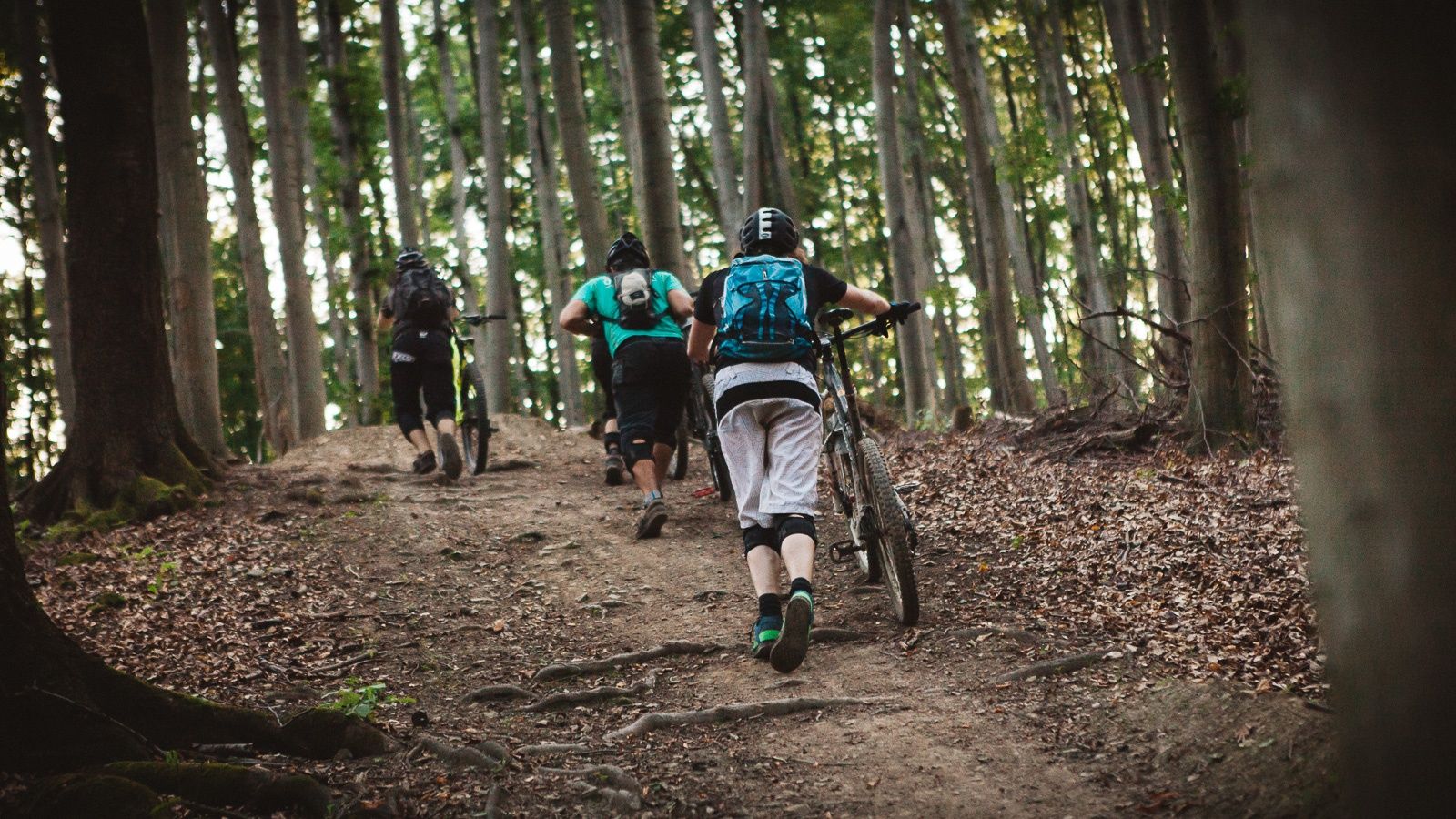 MTB Vídeňský les