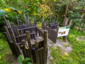 workshop s t&eacute;matikou potrub&iacute; v hor&aacute;ch - lesn&iacute; voda-3, &copy; wieneralpen-kremsl