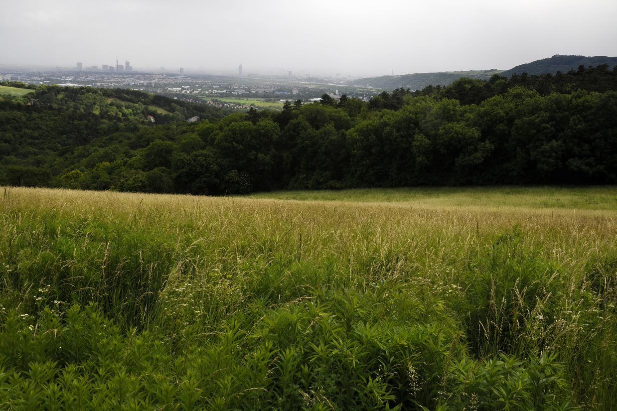Busamberg(c)LEADER-Region Weinviertel_Lahofer