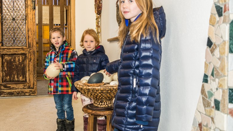 Určen&iacute; vajec, &copy; Otto Brandl