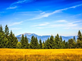 Kampsteiner Schwaig mit Blick auf Schneeberg, &copy; Wiener Alpen in Nieder&ouml;sterreich